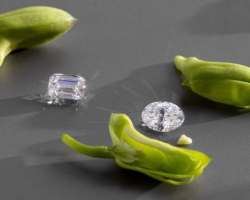 Cover image for The Environmental Impact of Lab Grown Diamonds vs Mined Diamonds - Who wins?
